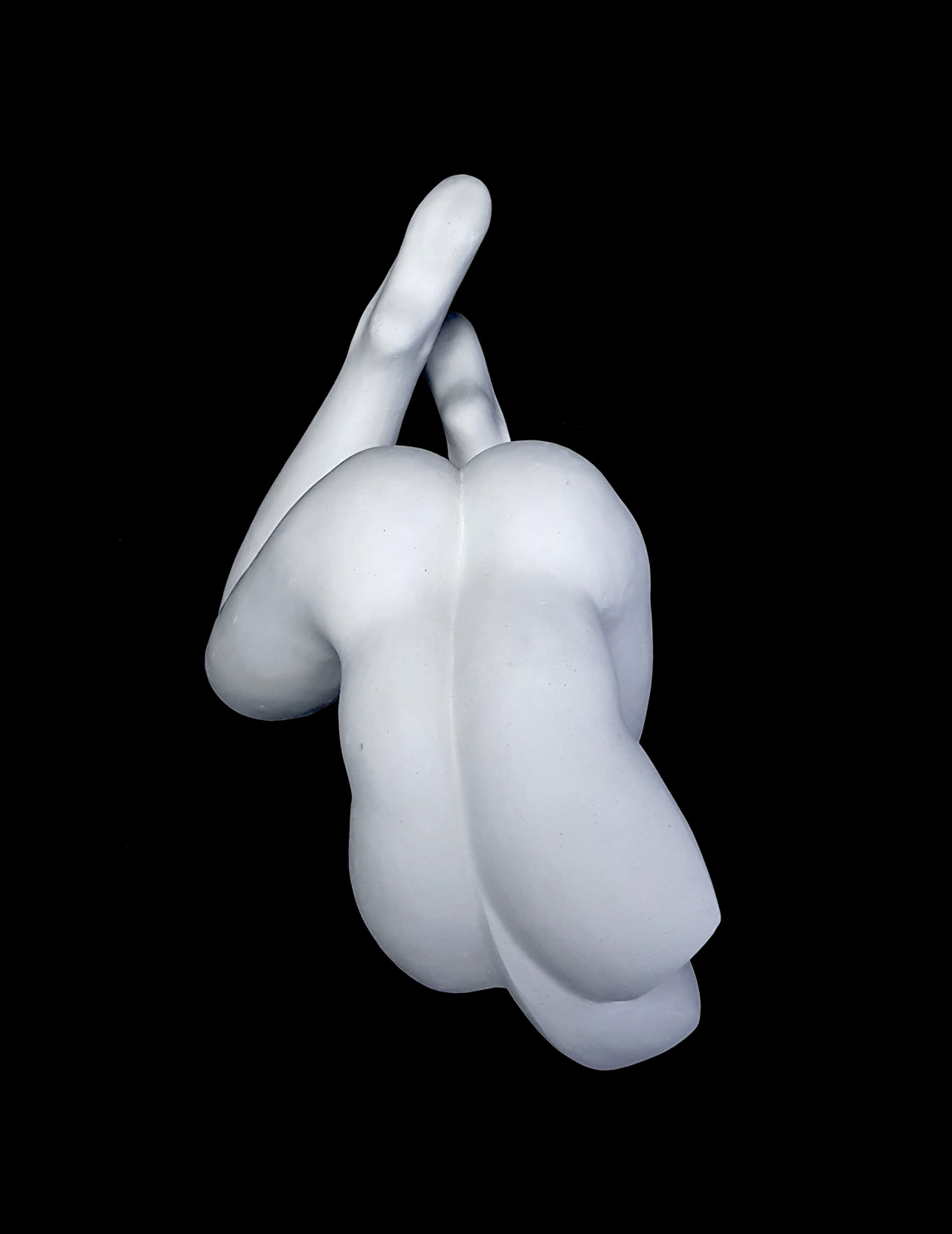 Loulou 1 back